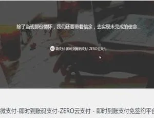 必看！微支付即时到账源码揭秘-小文资源网