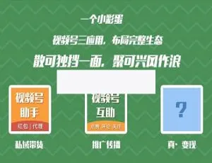爆款！视频号扩展链接助手 v1.5.0 来袭-小文资源网