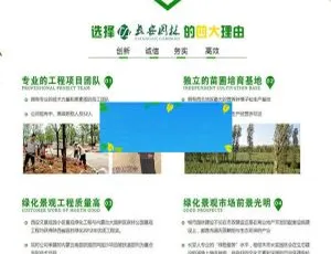 营销必备！织梦dedecms市政园林绿化企业网站模板（含手机移动端）-小文资源网