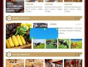 必看！织梦DedeCMS古典中国风旅游住宿农家乐含手机移动端模板-小文资源网