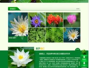 织梦DedeCMS绿色景观农业种植企业网站模板（含手机移动端）