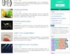 D85.1 版大前端简洁大气响应式 WordPress 博客主题-小文资源网