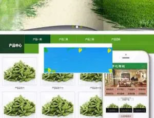 必看！织梦dedecms装修材料生态木墙板公司含移动端网站模板