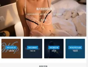 免费下！WordPress高端日主题 Rizhuti3.2 免授权版虚拟资源站源码