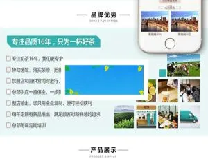 梦之队！超赞的梦之队！-小文资源网