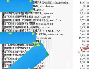 1400+套 ASP.NET 整站源码模板：毕业设计项目必备-小文资源网