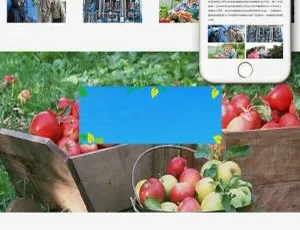 农业化肥公司必备！织梦DedeCMS响应式自适应手机移动端网站模板-小文资源网