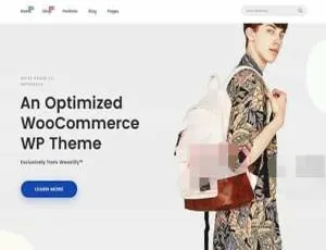 必看！Woostify Pro 1.7.6 服装电商轻量 WordPress 企业主题完美汉化中文版