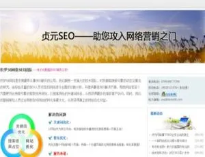 织梦SEO服务公司：精选织梦模板助力网站打造