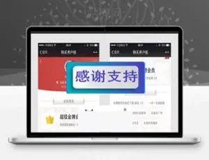 Discuz插件：微信购买会员用户组V2.180418商业版 源码速下
