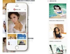 织梦模板：响应式主题博客新闻网站源码，自适应手机端