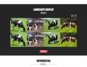 黑红风农林园林织梦dede模板源码：含手机版数据同步