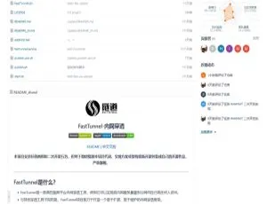 FastTunnel 2.0.4：高性能跨平台内网穿透神器