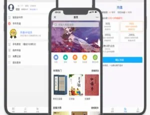 爆款！草莓CDMS微信小说平台系统v1.0原创内容分销系统