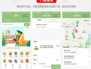 必看！智信分销拼团拍卖商城小程序3.23.8原版 含微信抖音头条前端