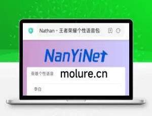 开源！Nathan王者荣耀个性语音包查询系统源码