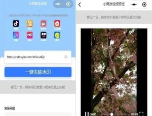 抖音无后台独立版去水印小程序源码