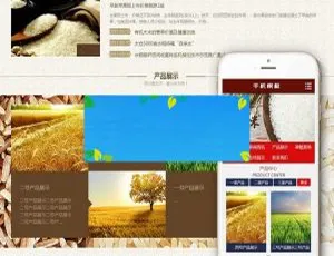 《超赞！织梦dedecms谷类大米农业公司含移动端网站模板》
