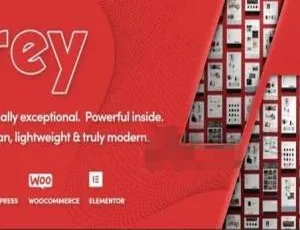Rey 2.5.1汉化中文版：时尚服饰家具的WooCommerce WordPress主题模板-小文资源网