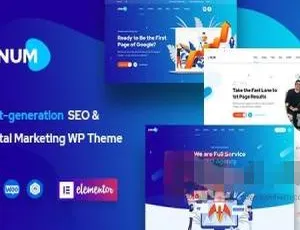 Onum 1.2.15汉化中文版：SEO企业与营销必备响应式WP主题