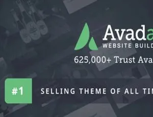 Avada 7.11.2 超赞中文汉化：多功能外贸跨境电商 WP 企业主题模板-小文资源网