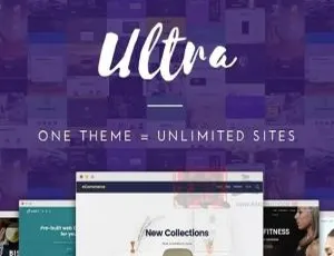 Themify Ultra 7.3.3 完美汉化：一键生成可视化编辑的简易企业展示 WordPress 主题-小文资源网