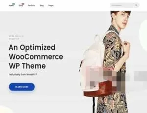 Woostify Pro 1.7.8 超赞汉化中文版：服装电商轻量 WooCommerce WordPress 主题模板-小文资源网