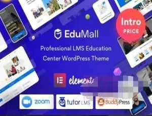 EduMall 3.4.7汉化专业版：LMS教育培训中心WordPress企业模板-小文资源网