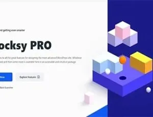 Blocksy Pro 1.8.96 完美汉化：个性化轻量闪电WordPress主题-小文资源网