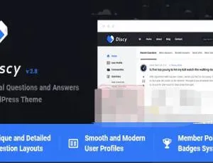 Discy 5.5.3 完美汉化中文版：社交社区论坛问答的WordPress主题-小文资源网