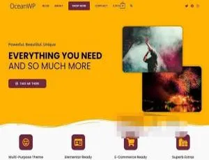 OceanWP Pro 3.5.0 汉化版：多功能轻量 WooCommerce 自定义主题-小文资源网