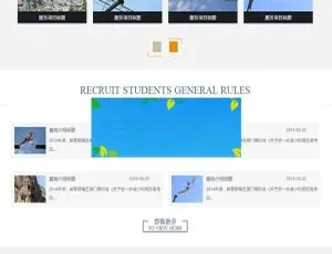 必看！织梦dedecms教育培训行业含移动端网站模板