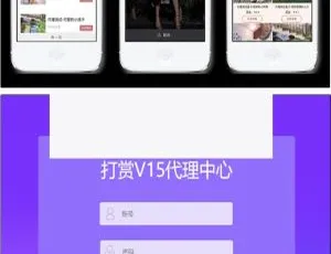 DS正版视频打赏系统V15：含代理商与试看功能，多免签支付且防封