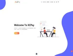 浪子Pay码支付即时到账系统源码：速来获取！