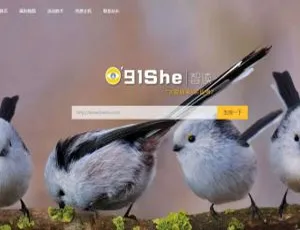 PHP 带后台 QQ 域名防报毒网站程序源码