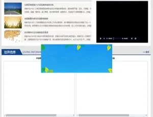 Dedecms织梦：大宗商品现货交易市场交易所网站模板精选