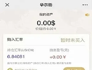 必看！白色 MAX 趣投币圈源码双版本打包及安装教程-小文资源网