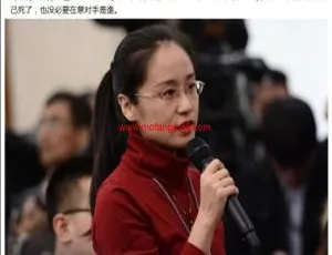 云核泛目录 MIP 模板开源站群系统最新源码