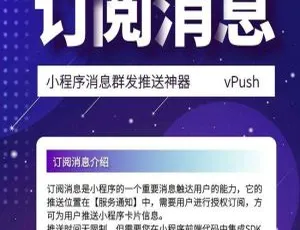专业版2.1.2：小程序消息群发推送多开多用神器-小文资源网