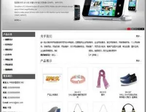 探索网新中英多国语言CMS 12.3