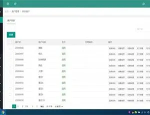 2020 超新修复支付系统运营版-小文资源网
