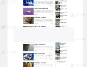 仿《钓鱼人》带火车头采集器与帝国cms内核的钓鱼视频及钓鱼行业网站源码-小文资源网