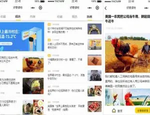 爆款！仿好奇读物小程序前端模板大揭秘