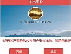 美信JR系统阳光资本整站源码：含股权购买、对接第三方支付及安装教程-小文资源网
