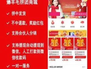 必看！薅羊毛拼团商城小程序V1.6.4 前端揭秘-小文资源网