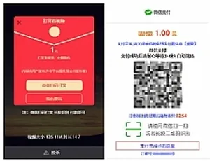 PHP全开源无加密无授权视频传输打赏系统源码：接入fastpay支付-小文资源网