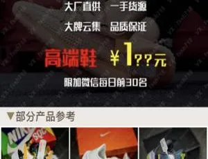 莆田鞋工厂双十一/双十二狂欢！整站百度竞价推广引流源码，直接拉起微信C025-小文资源网