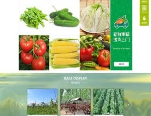 绿色蔬菜水果公司必备！织梦DedeCMS带移动端网站模板