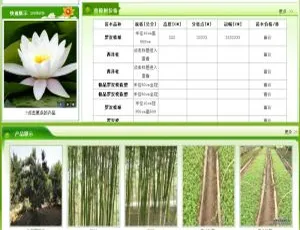 绿色苗木种植基地必备！织梦dedecms优质网站模板-小文资源网