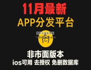 11 月新版 APP 分发源码：仿 fir.im 封装，运营级应用分发托管平台支持